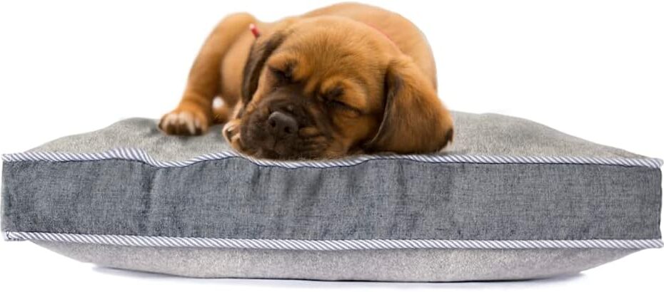 Ultimate Comfort: $averPak Plush Orthopedic Pet Bed Review
