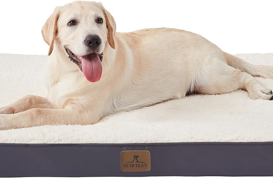 Ultimate Comfort: Bedfolks Orthopedic Dog Bed Review for Extra Large Pups