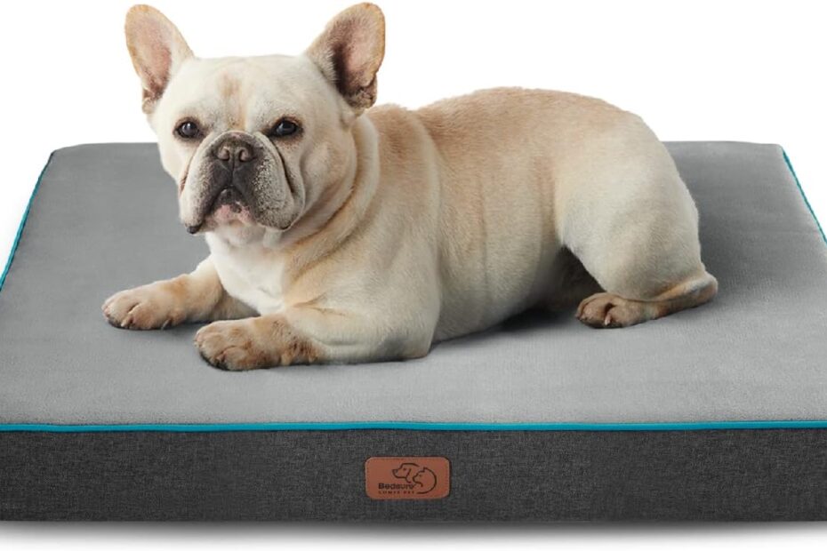 Ultimate Comfort: Bedsure Memory Foam Dog Bed Review for Small Pups