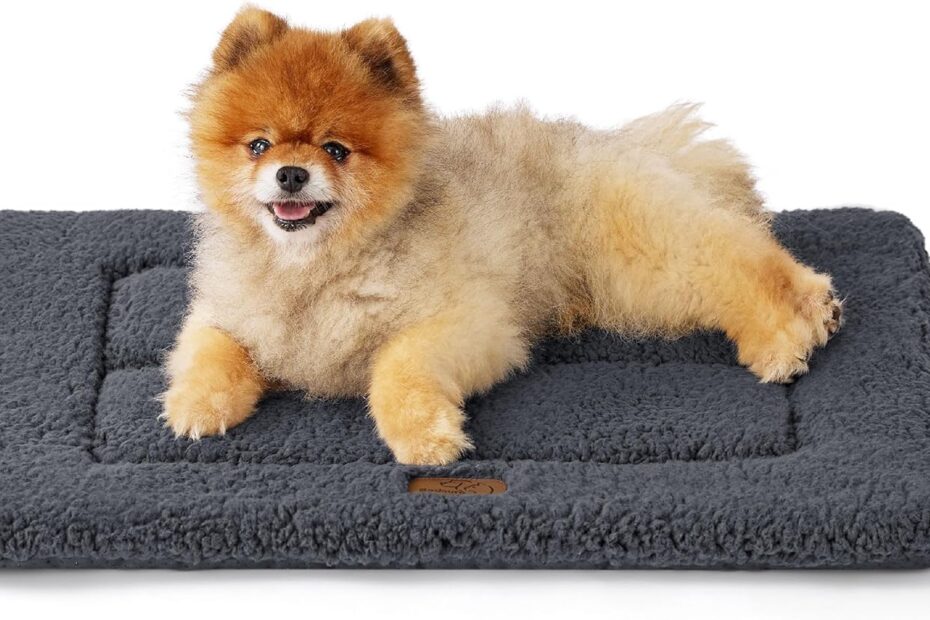 Ultimate Comfort: Bedsure Washable Crate Bed Review for Small Dogs