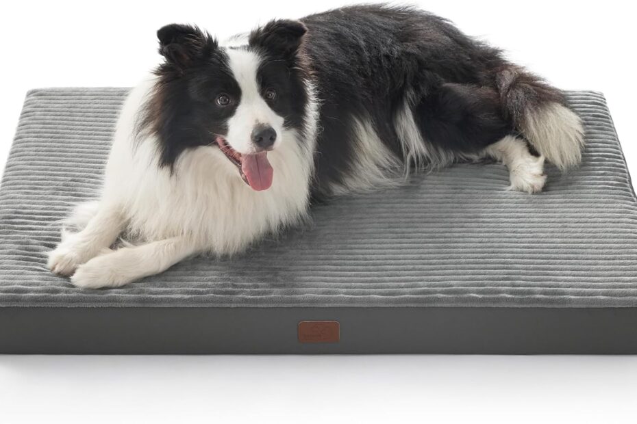 Ultimate Comfort: Bedsure XL Orthopedic Dog Bed Review