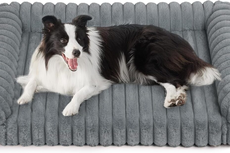 Ultimate Comfort: Chicute Thick Orthopedic Dog Bed Review for Large Dogs