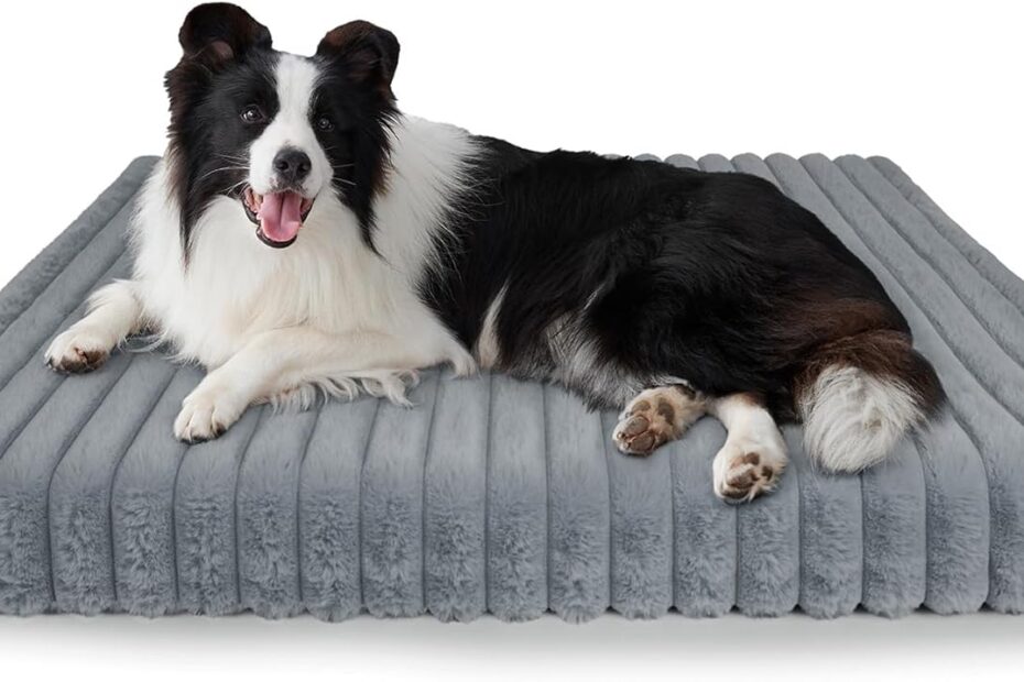 Ultimate Comfort: Chicute Waterproof Orthopedic Dog Bed Review