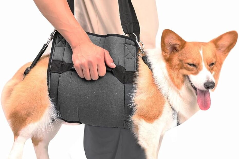 Ultimate Comfort: COODEO Dog Carry Sling for Senior Pups and Rehab Support