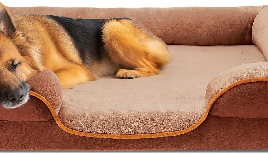 Ultimate Comfort: DUMOS Orthopedic Dog Bed Review for Large Pups