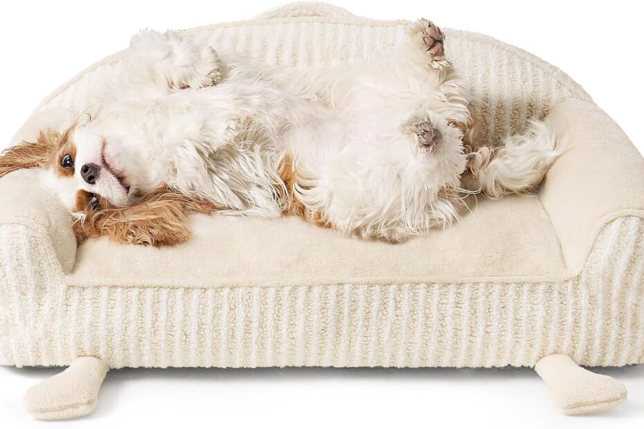 Ultimate Comfort: EHEYCIGA Medium Dog Bed Review