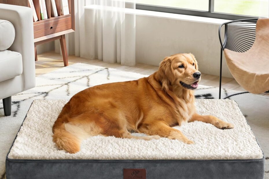 Ultimate Comfort: Figopage XXL Orthopedic Dog Bed Review for Your Large Pup!