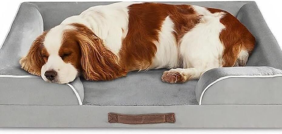 Ultimate Comfort for Pups: Codi Large Orthopedic Dog Bed Review