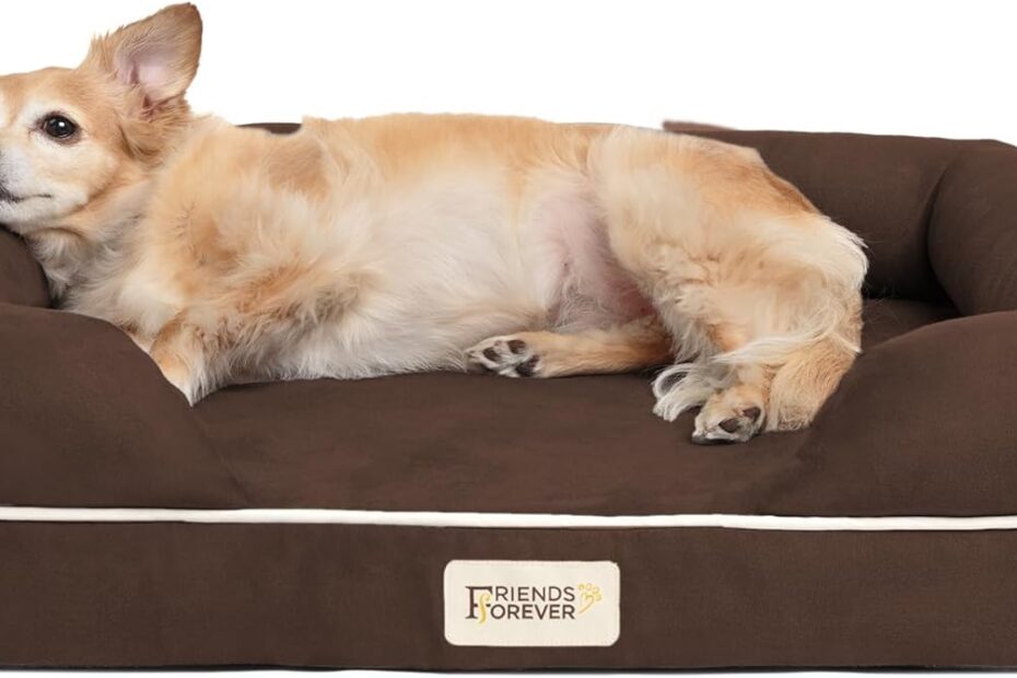 Ultimate Comfort for Small Pups: Chester Orthopedic Memory Foam Dog Bed Review