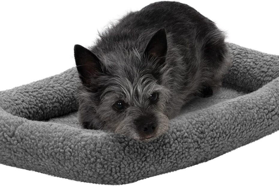 Ultimate Comfort for Tiny Paws: Furhaven Dog Bed Review