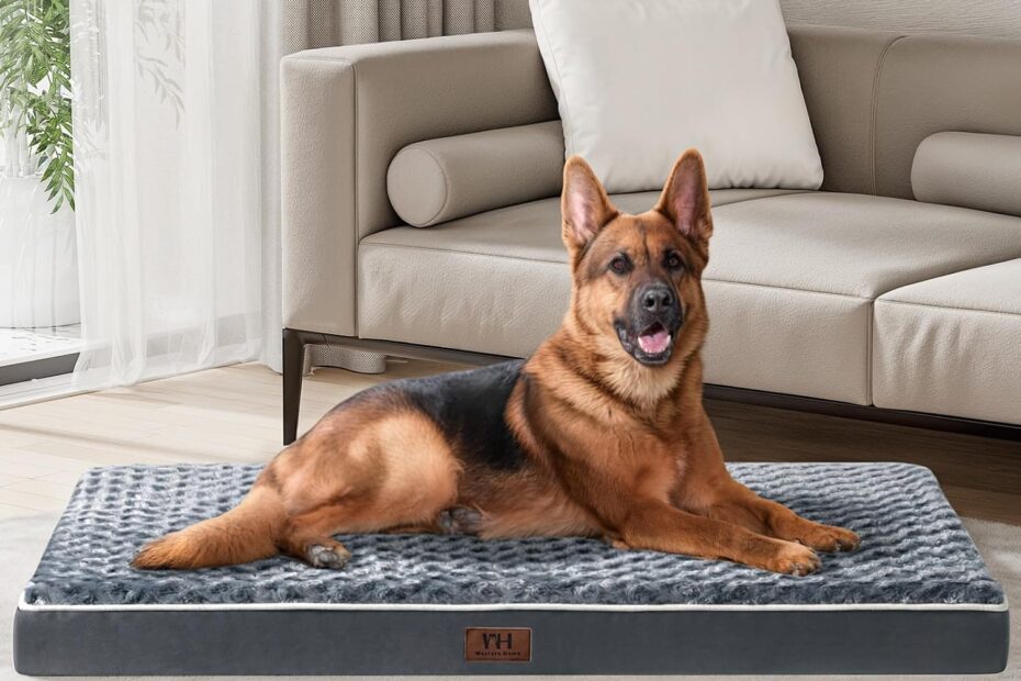 Ultimate Comfort for Your Canine: WESTERN HOME Orthopedic Extra Large Dog Bed Review