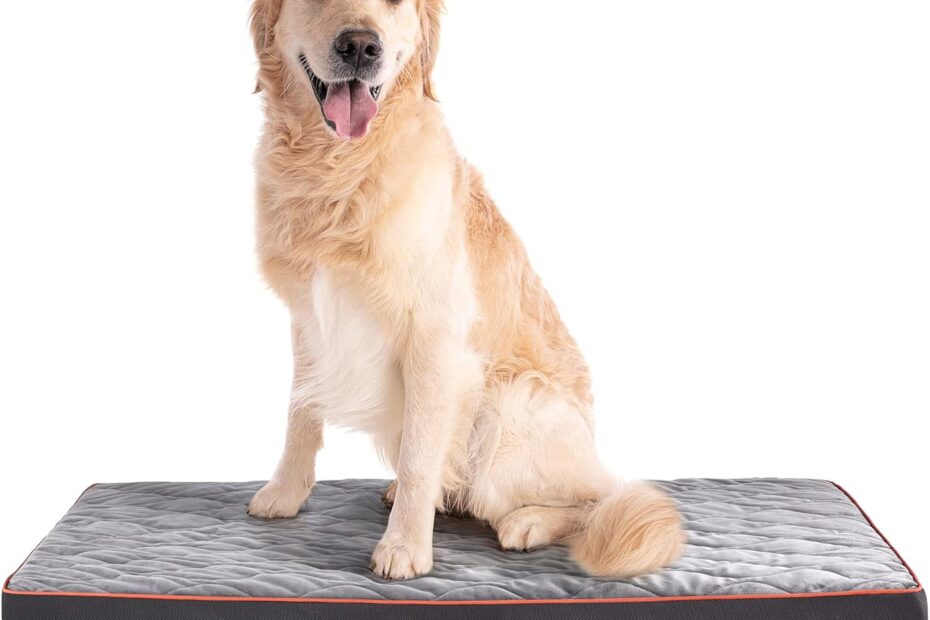 Ultimate Comfort for Your Pet: Sonive Extra Large Orthopedic Bed Review
