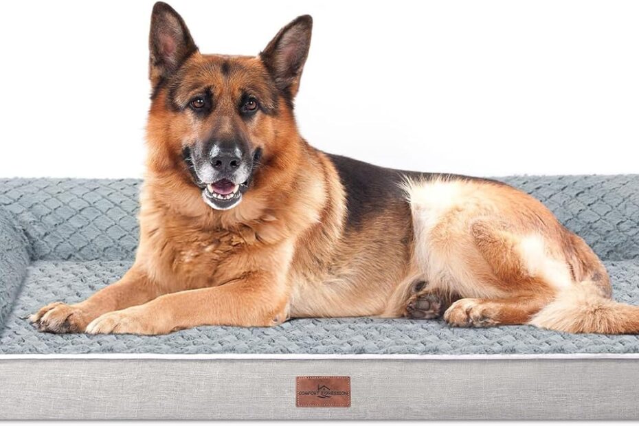 Ultimate Comfort for Your Pooch: A Review of the Jumbo Orthopedic Dog Bed