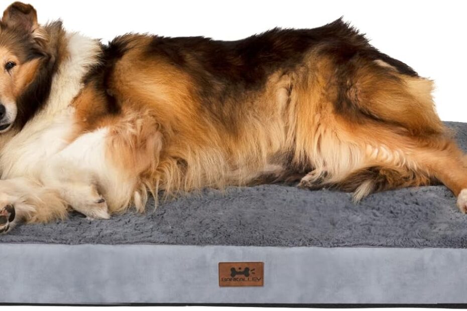 Ultimate Comfort for Your Pup: Bark Alley Jumbo Memory Foam Orthopedic Dog Bed Review