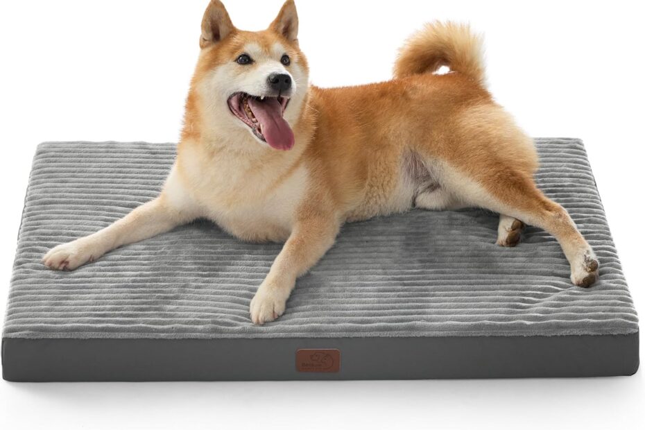 Ultimate Comfort for Your Pup: Bedsure Orthopedic Dog Bed Review