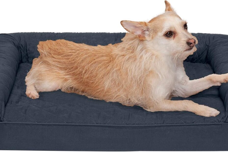 Ultimate Comfort for Your Pup: Furhaven Orthopedic Dog Bed Review