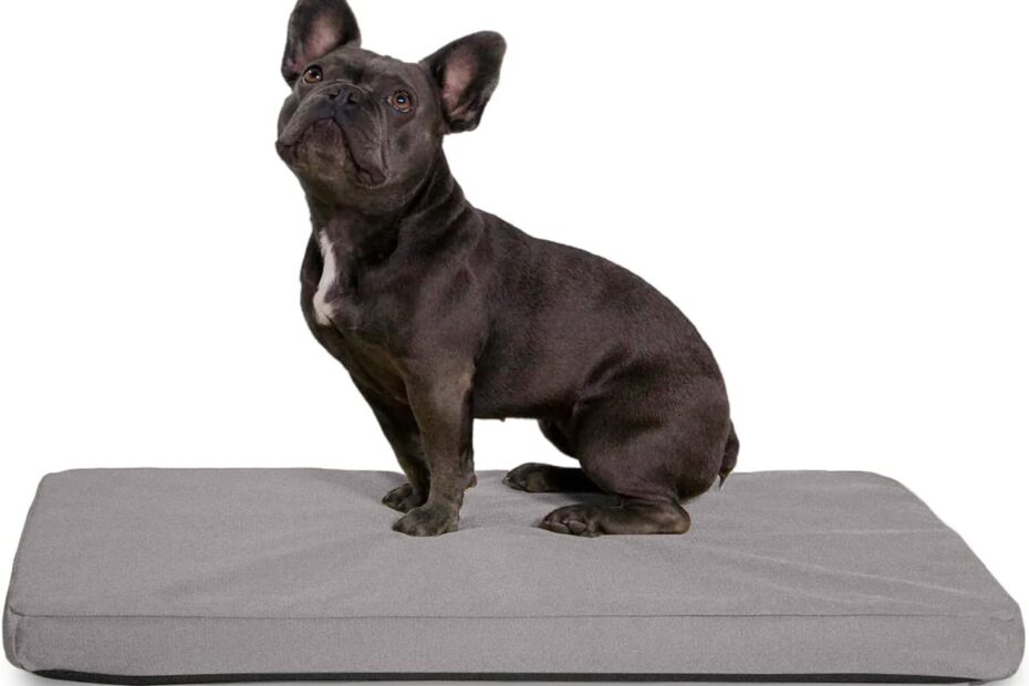 Ultimate Comfort for Your Pup: K9 Ballistics Tough Orthopedic Dog Crate Bed Review