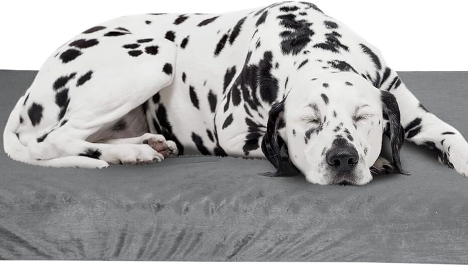 Ultimate Comfort for Your Pup: PETMAKER Orthopedic Dog Bed Review