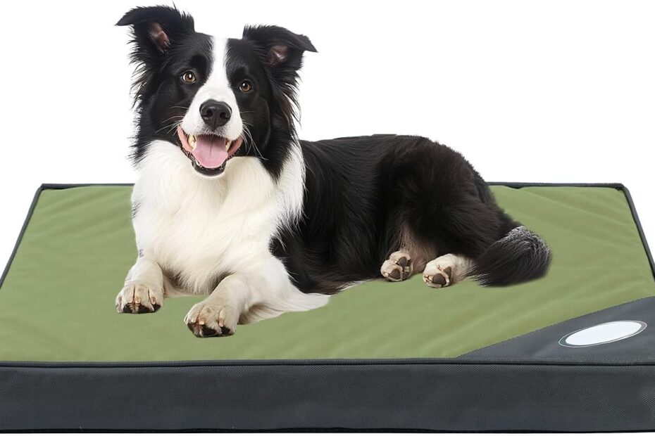 Ultimate Comfort for Your Pup: Review of Orthopedic Waterproof Dog Beds!