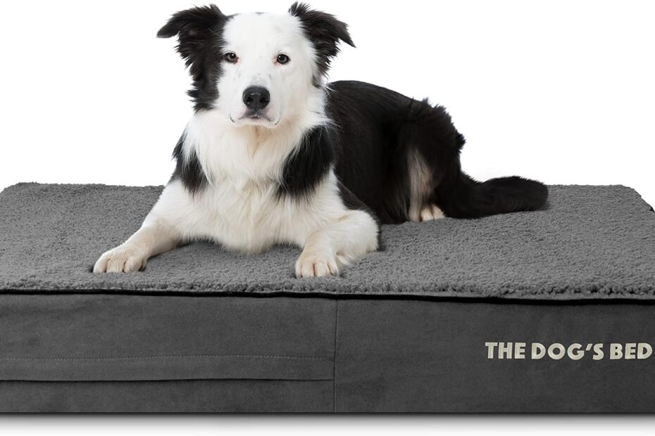 Ultimate Comfort for Your Pup: Review of The Dog’s Bed Orthopedic Memory Foam Bed