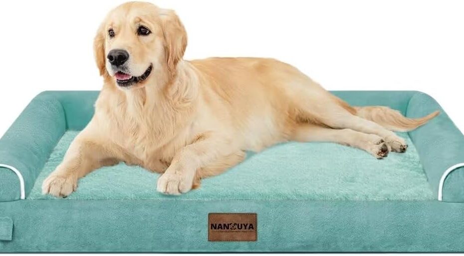 Ultimate Comfort for Your Pup: Review of the Large Orthopedic Dog Bed in Aqua Blue