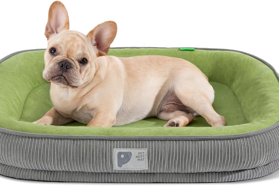 Ultimate Comfort for Your Pup: Review of the Orthopedic Small Dog Sofa Bed