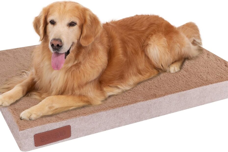 Ultimate Comfort for Your Pup: Reviews of the Waterproof Orthopedic Dog Bed