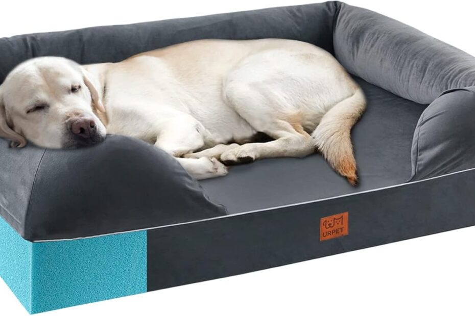 Ultimate Comfort for Your Pup: XL Orthopedic Dog Bed Review