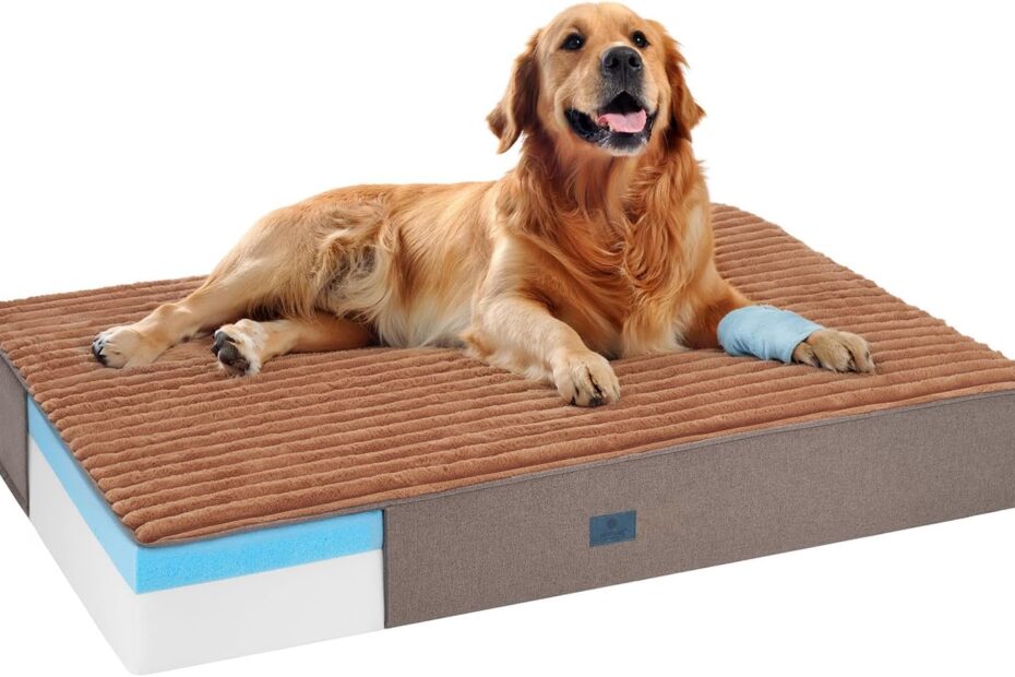 Ultimate Comfort for Your Senior Pup: Veehoo Orthopedic Memory Foam Dog Bed Review