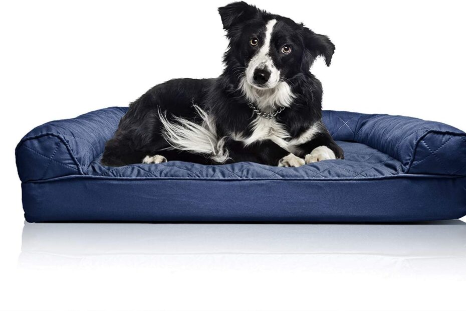 Ultimate Comfort: Furhaven Orthopedic Dog Bed Review for Medium & Large Dogs