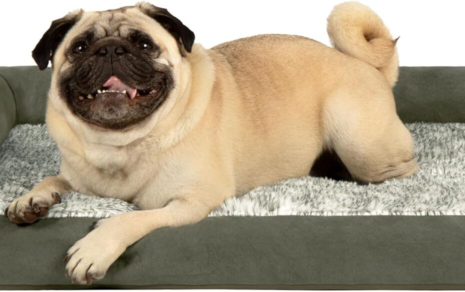 Ultimate Comfort: Furhaven Orthopedic Dog Bed Review for Small to Medium Pups!
