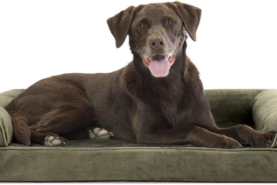 Ultimate Comfort: Furhaven Orthopedic Dog Bed Review for Your Medium to Large Pup