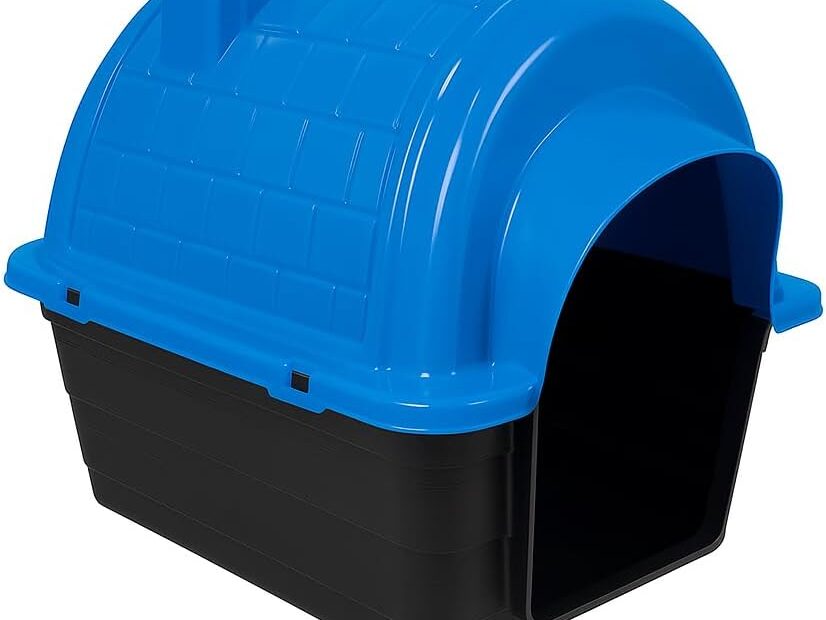 Ultimate Comfort: Igloo Dog House Review for Medium Pups