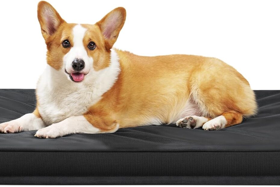 Ultimate Comfort: Indestructible Orthopedic Dog Bed for Large Breeds