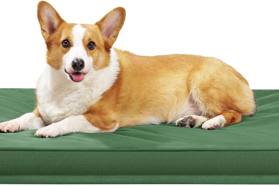 Ultimate Comfort: Indestructible Orthopedic Dog Beds for Large Paws