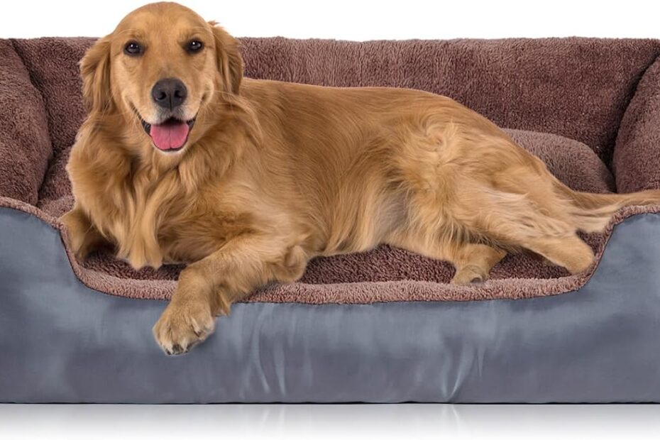 Ultimate Comfort: Jumbo Dog Beds for Large Pets - Review & Recommendations