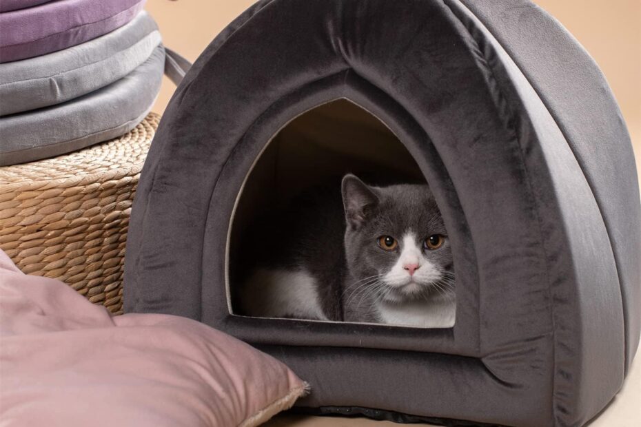 Ultimate Comfort: KASENTEX 2-in-1 Cat Bed Review