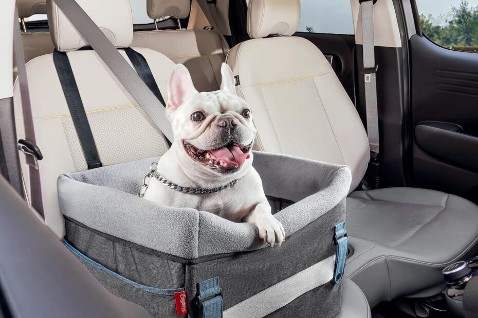 Ultimate Comfort on the Go: Review of BurgeonNest Dog Booster Car Seat