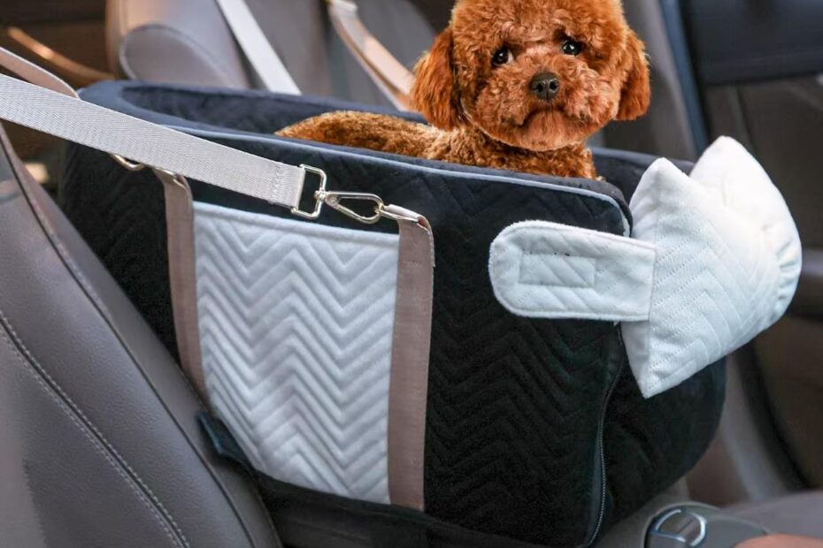 Ultimate Comfort on the Go: Review of the Dog Car Seat for Small Dogs