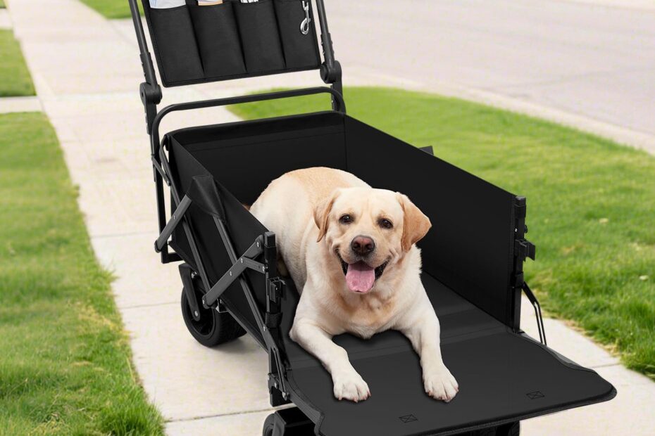 Ultimate Comfort on the Go: Review of the Large Dog Stroller Cart for Your Furry Friends