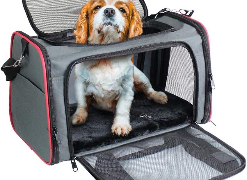 Ultimate Comfort on the Go: Review of the Soft-Sided Kennel Pet Carrier