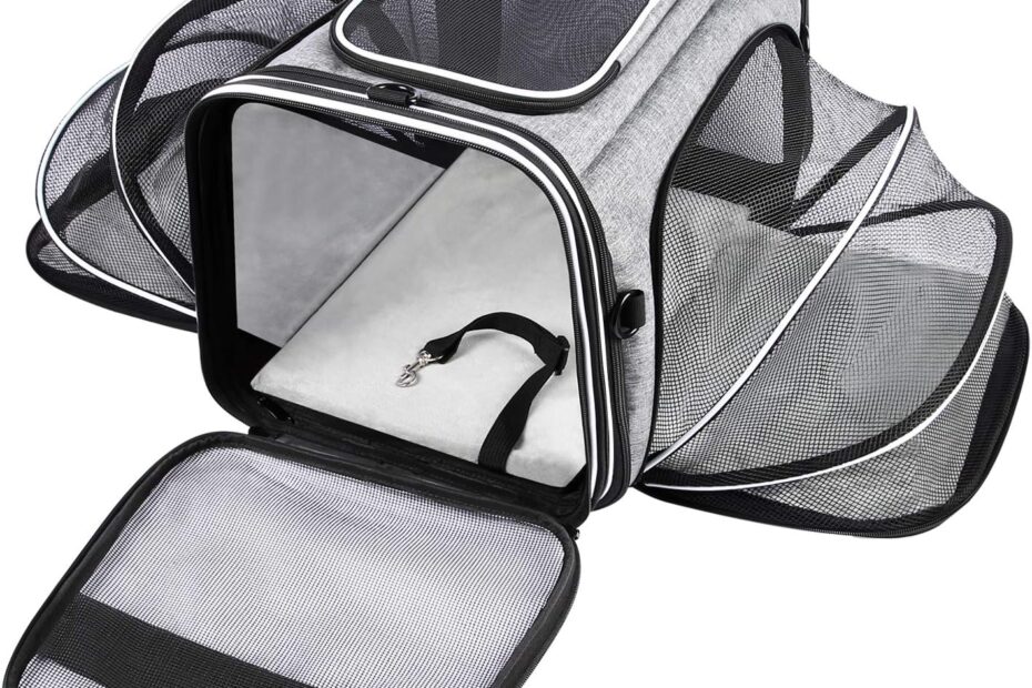 Ultimate Comfort on the Go: Review of the TSA-Approved Soft-Sided Pet Carrier