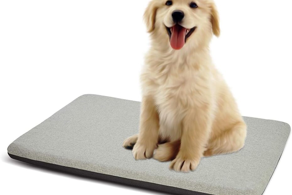 Ultimate Comfort: Panku Orthopedic Dog Bed Review for Small Pups