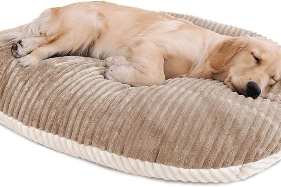 Ultimate Comfort: Patas Lague Reversible Orthopedic XL Dog Bed Review