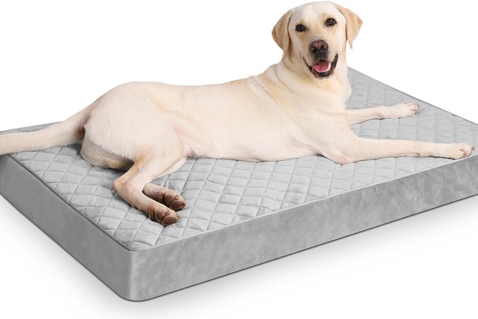 Ultimate Comfort: Review of Orthopedic Dog Beds for Extra Large Dogs