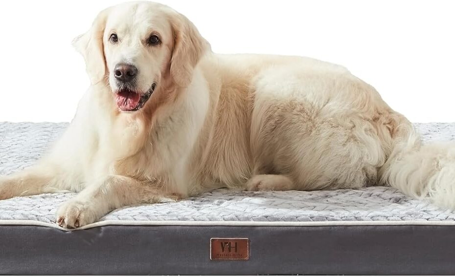 Ultimate Comfort: Review of Orthopedic Dog Beds for Large Dogs