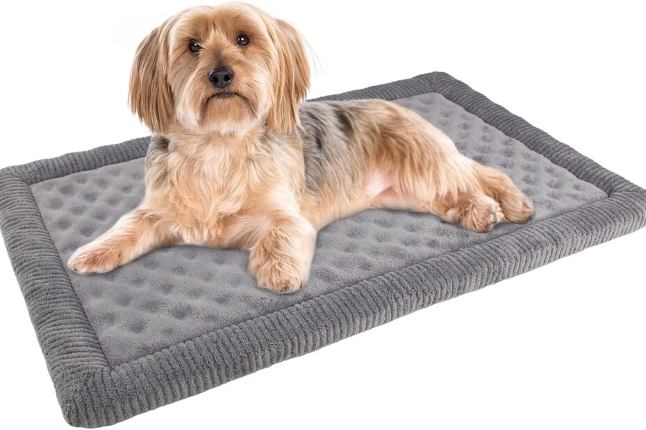 Ultimate Comfort: Review of the 24x17 Inch Gray Memory Foam Dog Crate Pad