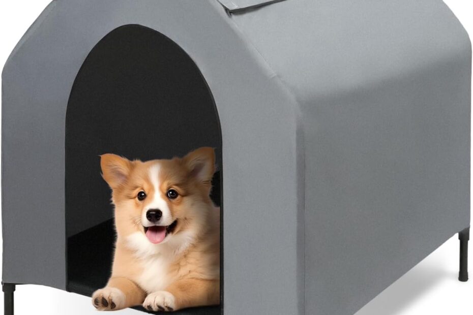 Ultimate Comfort: Review of the 2-in-1 Outdoor Dog House & Elevated Bed!
