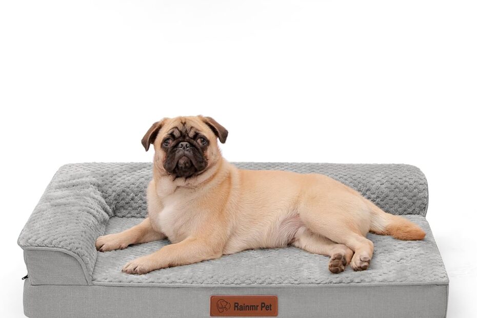 Ultimate Comfort: Review of the 3-Inch Memory Foam Orthopedic Dog Bed for Medium Dogs