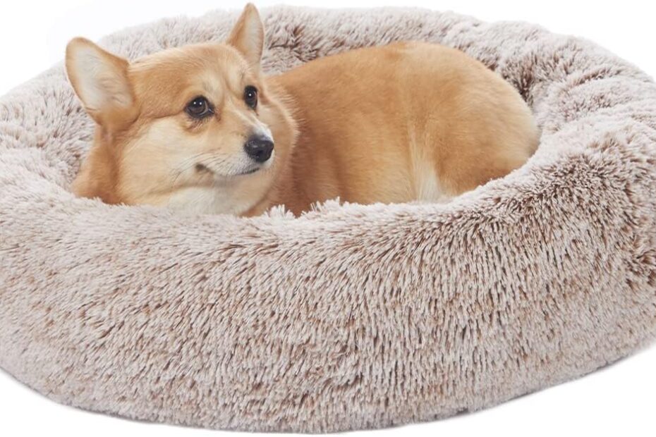 Ultimate Comfort: Review of the Bedfolks Calming Donut Dog Bed for Medium Dogs